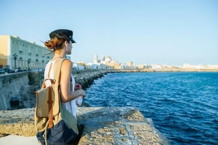 Desde Sevilla: excursión de 1 día a Jerez y Cádiz