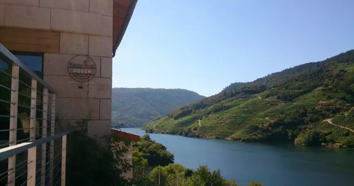 Ribeira Sacra: tour bodega y viñedos Ronsel do Sil con cata de vinos