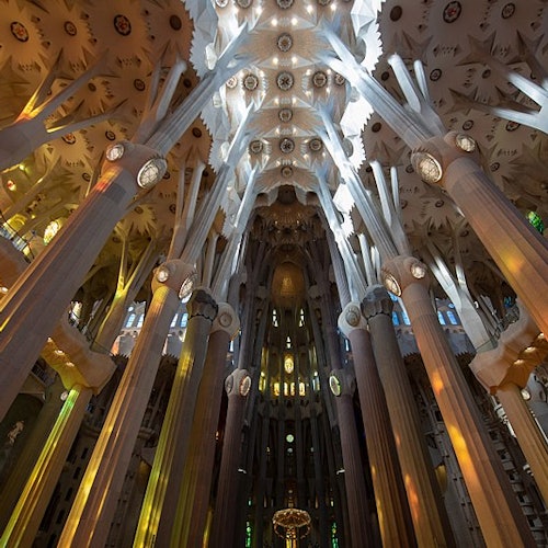 Sagrada Familia: Visita guiada