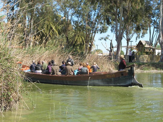 Tour en autobús por la Albufera valenciana