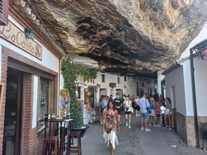 Ronda y Setenil de las Bodegas / Día completo semip privado