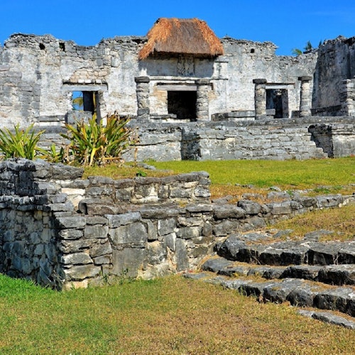 Ruinas Mayas de Tulum, Cenote Mariposa y Playa del Carmen: Viaje de ida y vuelta con almuerzo