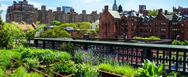 Tour por High Line y Hudson Yards