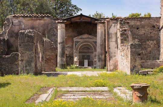 Pompeii tour from Naples with historic city stroll