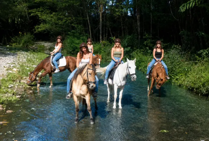 Barcelona: Horseback Ride through Rivers + Hotel Pickup