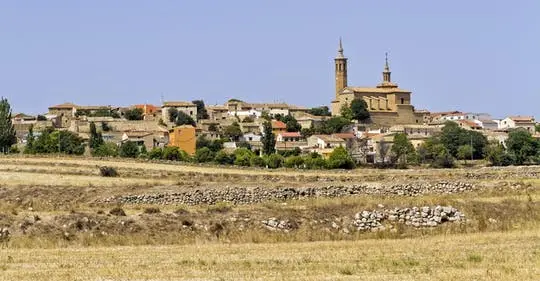 Full-day wine tour and visit to Goya's birthplace