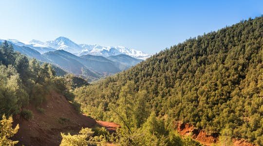 Excursión guiada de un día al valle de Ourika desde Marrakech