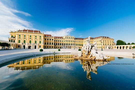 Visita sin colas al Palacio de Schönbrunn y recorrido por la ciudad de Viena por la mañana