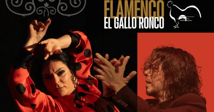 Málaga: auténtico espectáculo flamenco en El Gallo Ronco