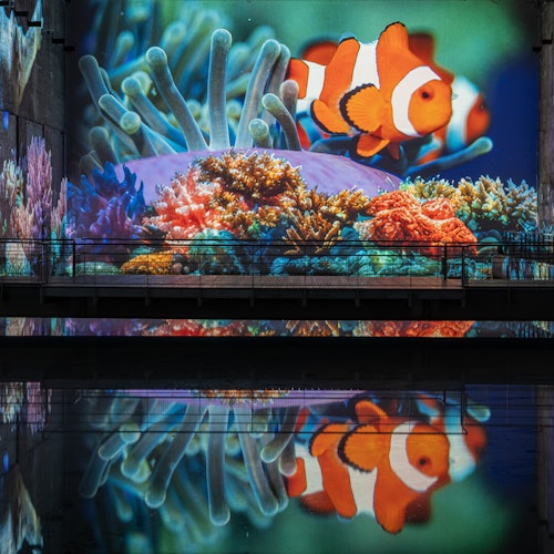 Les Bassins des Lumières: Océano