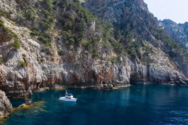 Mallorca: Private Sailing Tour in Palma de Mallorca