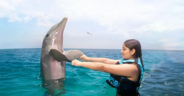 Cancún: entrada al Parque Garrafón y baño con delfines