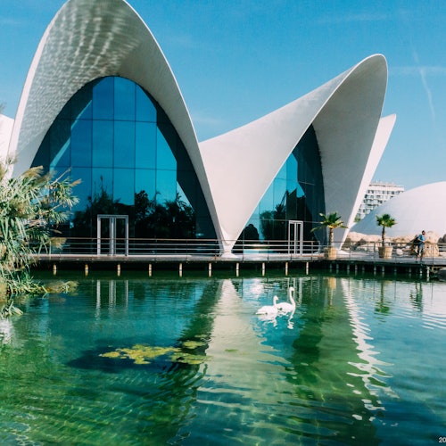 Oceanogràfic de Valencia: Entrada