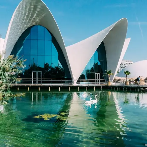 Oceanogràfic de Valencia: Entry Ticket