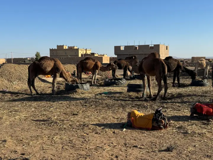 4 Days Desert Tour From Fes to Marrakech