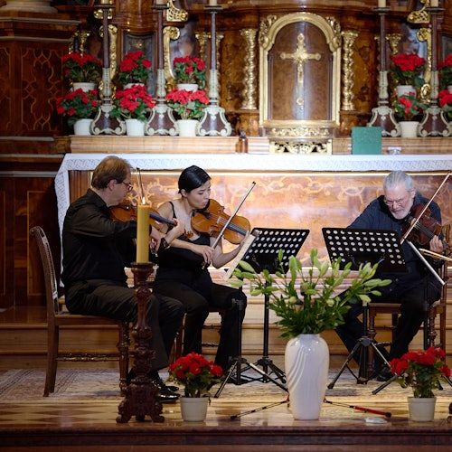 Iglesia de los Capuchinos: Concierto "Un poco de música nocturna" + Cripta Imperial (Opcional)