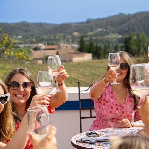 Algarve: Excursión guiada de cata de vinos desde Albufeira
