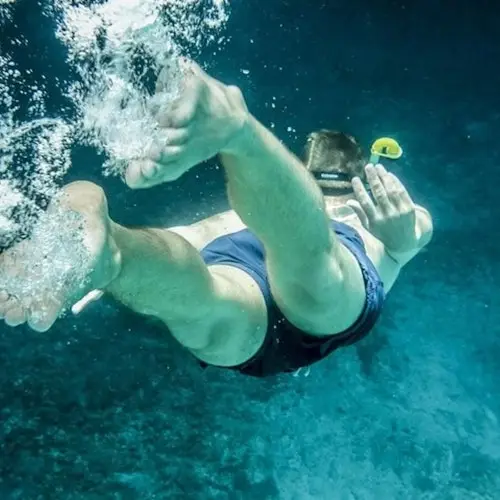 Biscayne Bay: Guided Snorkeling Adventure from South Beach