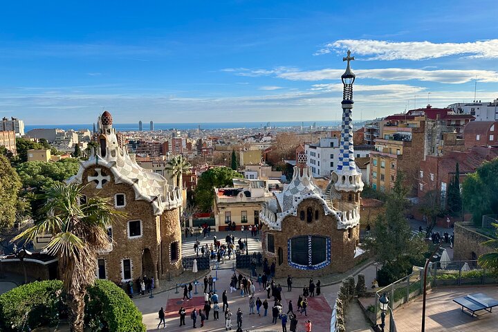 Visita guiada privada a Park Guell con un guía turístico de cinco estrellas