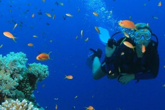 Key West day trip and snorkeling adventure