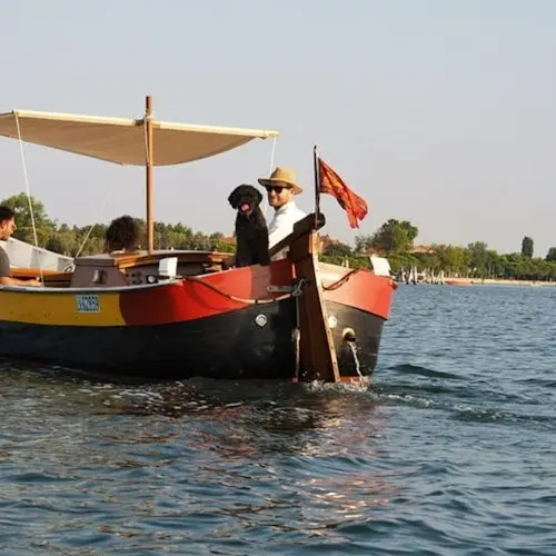 Murano, Burano & Torcello: Traditional Boat Tour + Glass-blowing Demonstration