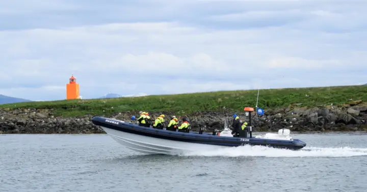 Reykjavik: Puffin Watching Tour by RIB Speedboat