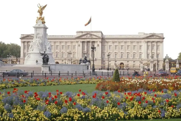 London: Buckingham Palace State Rooms with Bus and Boat Tour