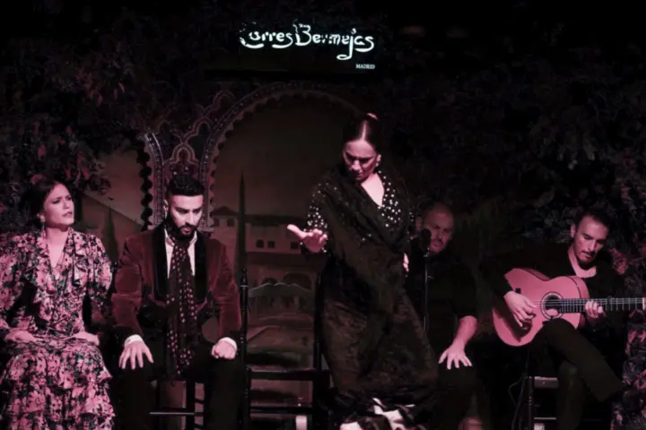 Madrid: Royal Palace Tour, Flamenco Show, & Tapas with Drink