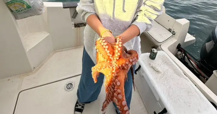 Málaga: excursión de pesca con equipo, bebidas y comida gratis