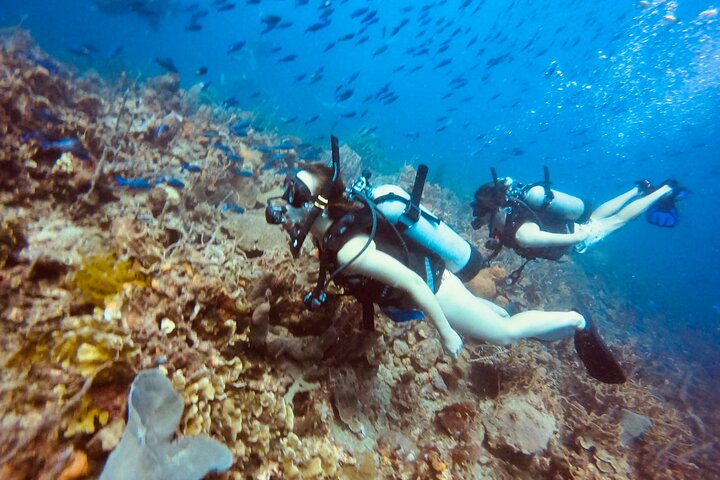 Día completo de buceo en Islas del Rosario