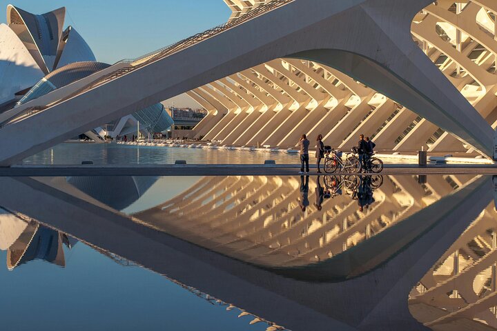 Valencia : Tour a pie por la Ciudad de las Artes y las Ciencias con guía local