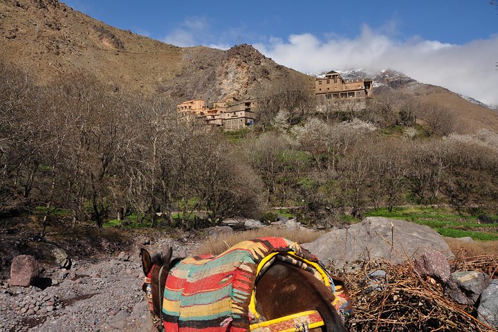 Excursión privada de un día al Alto Atlas desde Marrakech,
