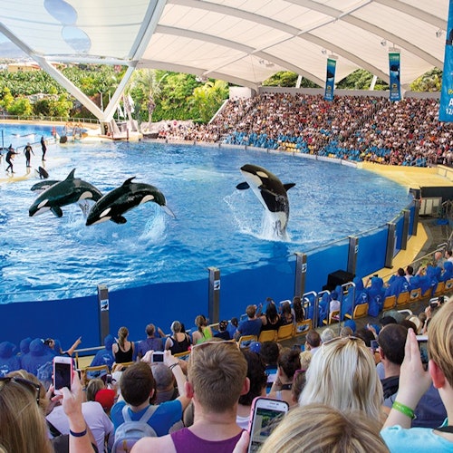 Siam Park & Loro Parque: Entry Ticket + Siam Park Transfer from North