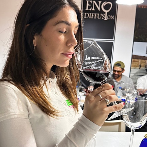 Toledo: Guided City Tour + Transfer from Madrid + Wine & Tapas Tasting