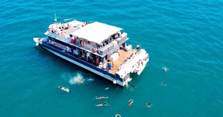 Valencia: paseo en catamarán por Malvarrosa con parada para nadar