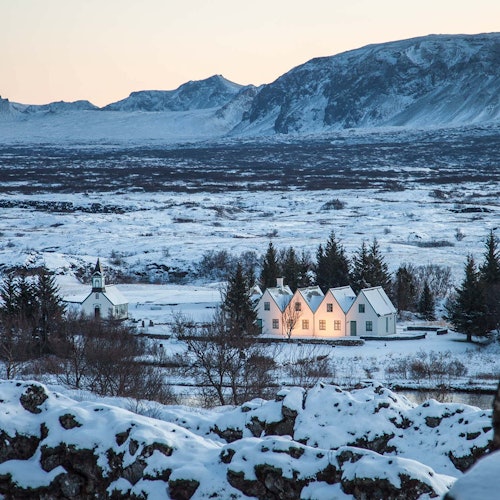 Círculo Dorado + Invernadero Friðheimar: excursión desde Reykjavik