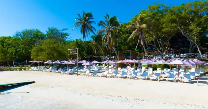 Cartagena: Rosario Island Beach Club Day Trip and OPEN BAR