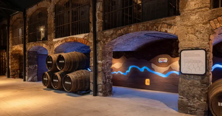 Oporto: tour autoguiado por las bodegas Burmester