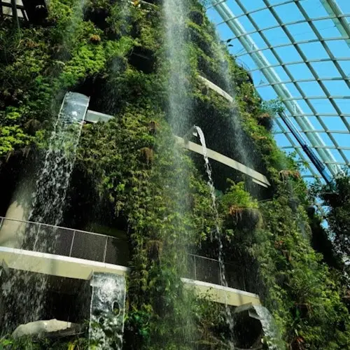 Jardines de la Bahía: Entrada a la Cúpula de las Flores y al Bosque Nuboso