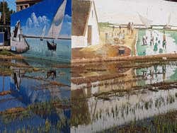 Tour por Valencia y la Albufera + Campos de arroz