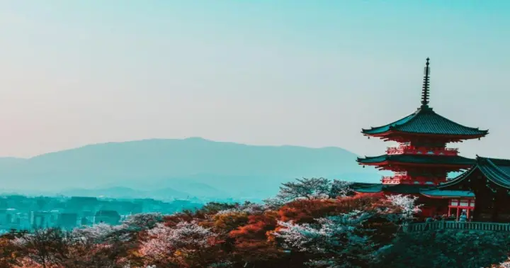 Osaka: Tour a pie por los lugares imprescindibles y las joyas ocultas