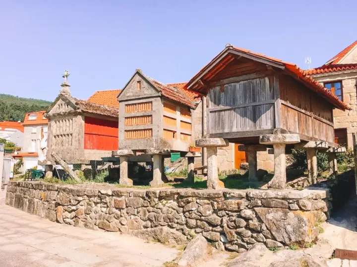 Desde Santiago: tour por las Rías Baixas con crucero y bodega opcional