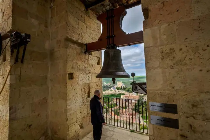 Tour por la Catedral y su torre + Entrada al Palacio Episcopal