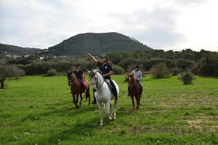 Cabalgatas en los Valles de Randa, Mallorca, España