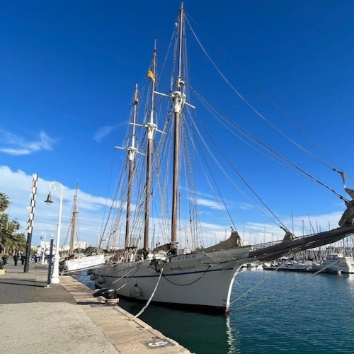 Museu Marítim de Barcelona: Entrada