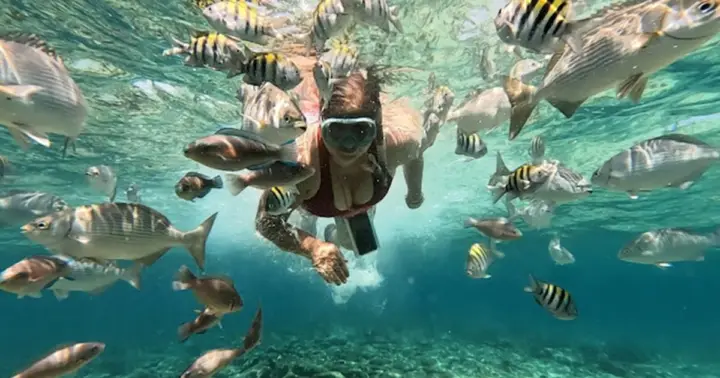 Cartagena: Rosario Islands and Playa Blanca Excursion with Snorkeling or Aquarium