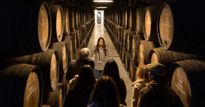 Oporto: tour guiado y cata de 3 vinos de Oporto en Poças