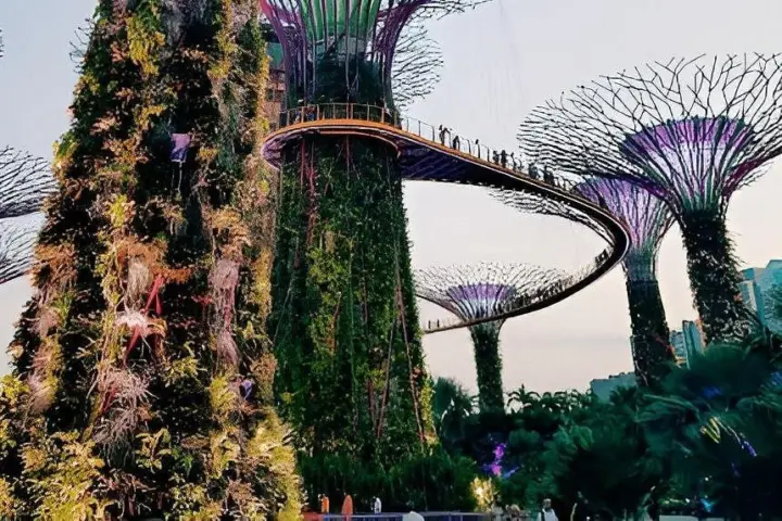 Gardens by the Bay: OCBC Skyway, Cúpula de las Flores y Bosque de las Nubes