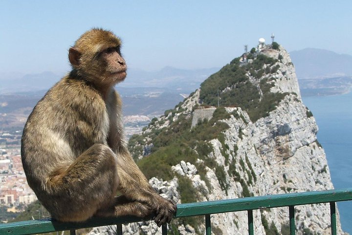 Desde la Costa del Sol: El tour clásico de rock en Gibraltar.
