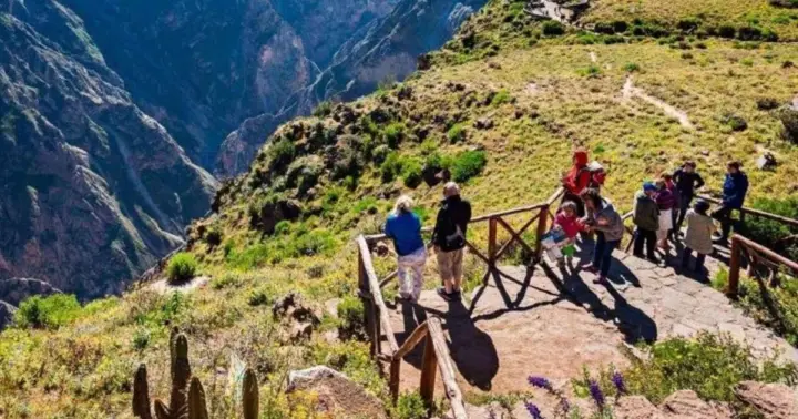 Excursión de un día al Cañón del Colca + Traslado a Puno con Comidas